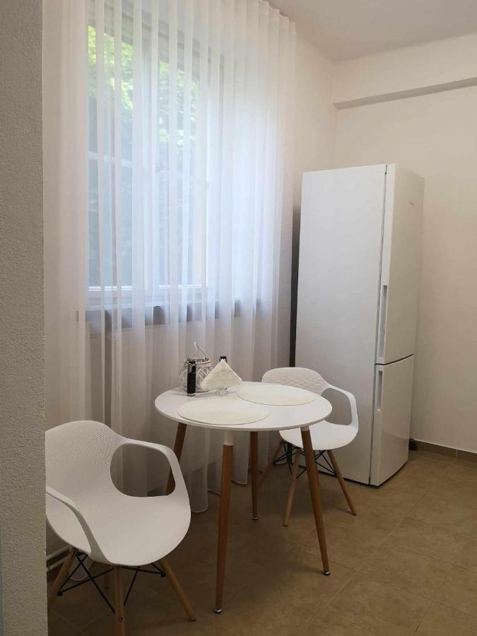Apartman Dlouha 207 Litoměřice Εξωτερικό φωτογραφία